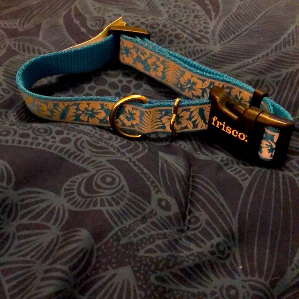 Frisco Reflective Dog Collar {not chew proof}